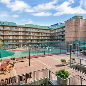 City - Free Parking, 3 Bedrooms And 2 Bathrooms Australia