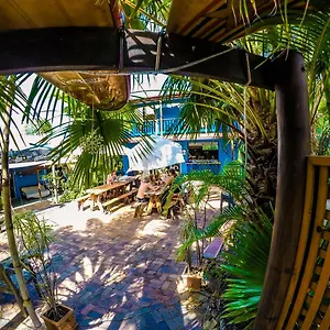  Auberge de jeunesse Cool Bananas Backpackers